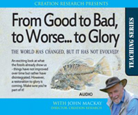 From Good to Bad to Worse to Glory (MP3)