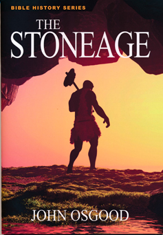 The Stoneage by John Osgood