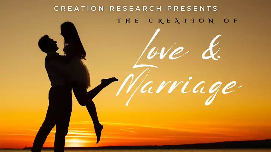 The Creation of Love & Marriage (Video)