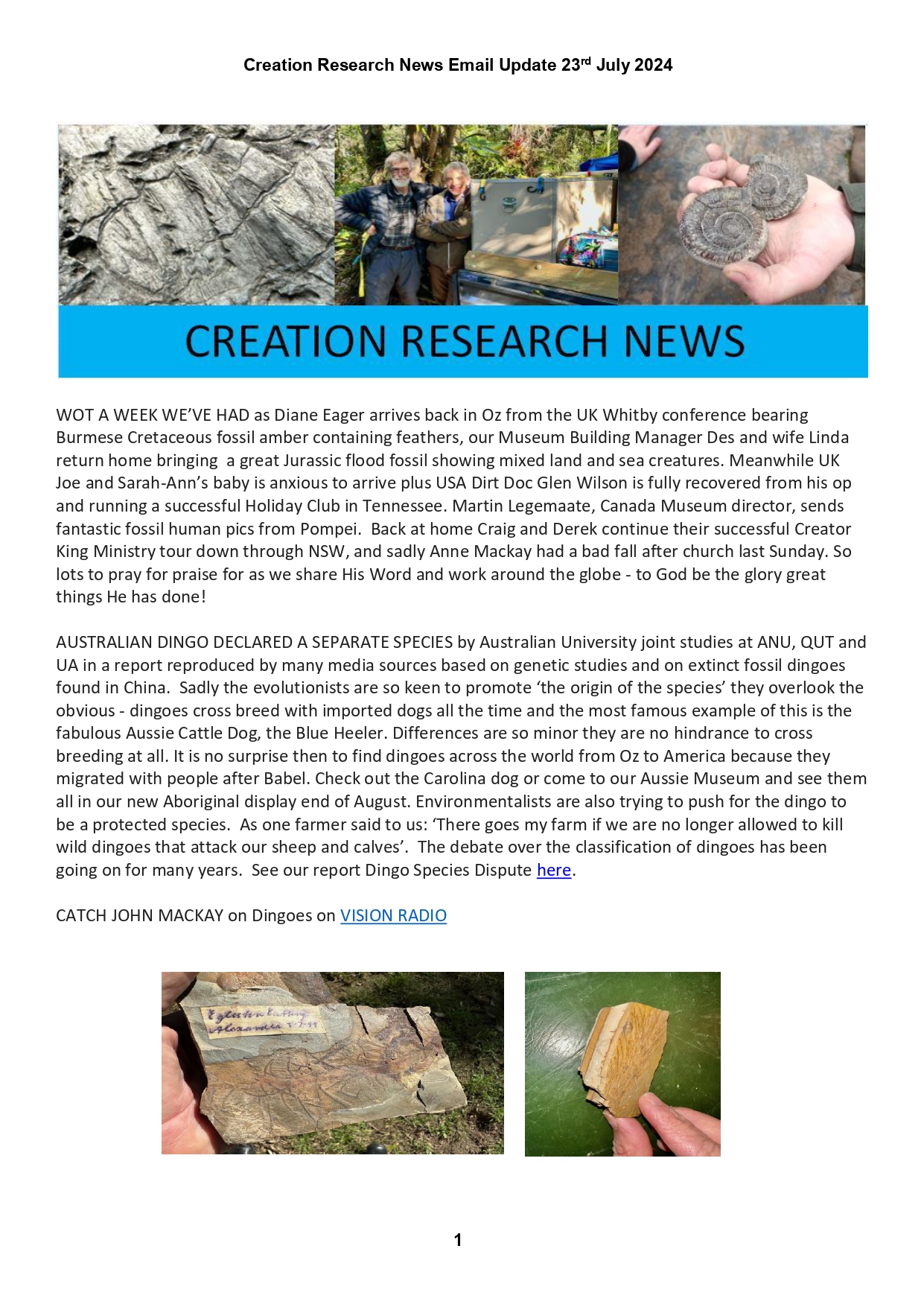 Read more about the article Creation News – 23 Jul 2024