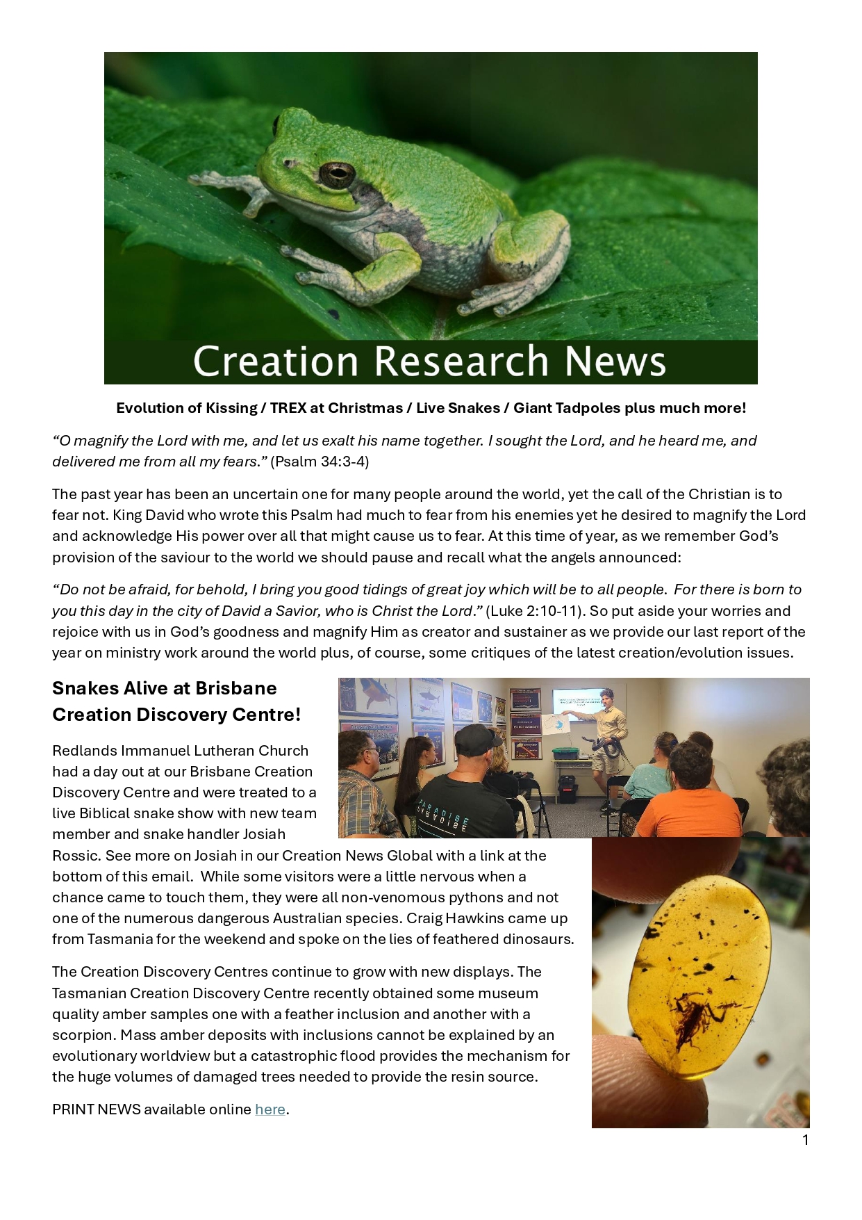 You are currently viewing Creation News – 16 Dec 2024